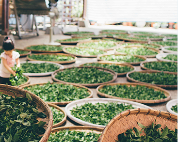 農產品烘干方案