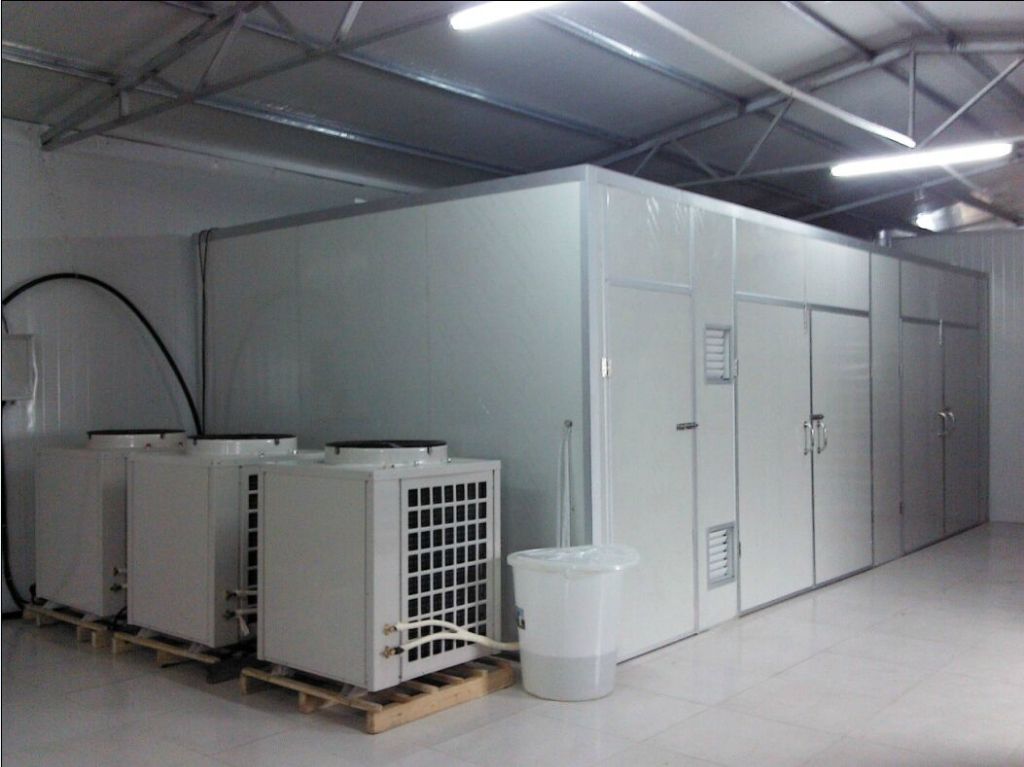 1533086643217611.jpg tifewg.jpg