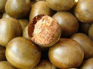 羅漢果空氣能烘干機 羅漢果空氣能烘干機