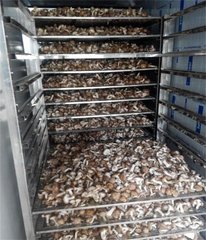 1534127205387458.jpg t0155fdf7632d9a91c1.jpg