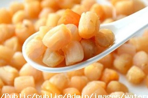 干貝烘干工藝 干貝烘干工藝