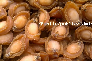 鮑魚烘干工藝 鮑魚烘干工藝