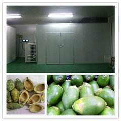 1534398524285042.jpg 1534398524285042.jpg