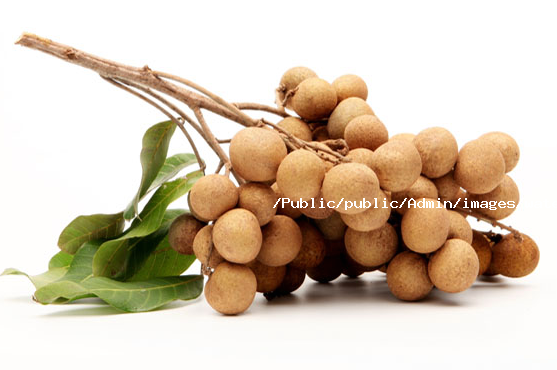 熱泵果蔬干燥 熱泵果蔬熱風龍眼干燥工藝及流程方案