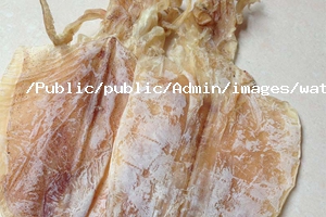 魷魚營養(yǎng)價(jià)值 魷魚營養(yǎng)價(jià)值