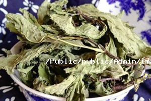 留蘭香烘干工藝 留蘭香烘干工藝