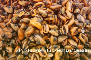 淡菜營養(yǎng)價(jià)值 淡菜營養(yǎng)價(jià)值