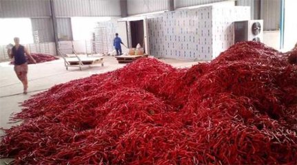 1534836980905905.jpg t016042474c229b62f9.jpg