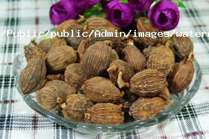 草果基本介紹 草果基本介紹