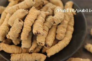 巴戟天基本介紹 巴戟天基本介紹