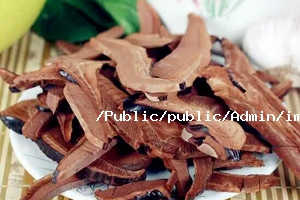 靈芝基本介紹 靈芝基本介紹