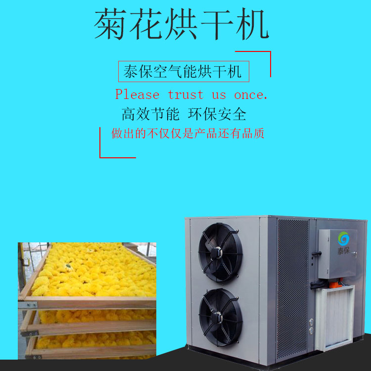 1535338442117020.jpg 菊花 副本.jpg