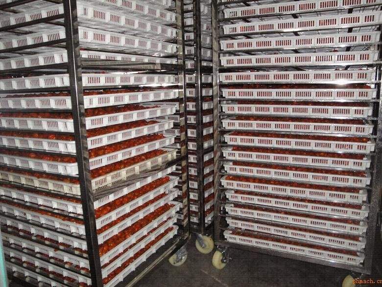 如何選取玫瑰花烘干機與烘干房的配置?資源如何可以得到充分利用? 如何選取玫瑰花烘干機與烘干房的配置?資源如何可以得到充分利用?