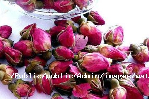 玫瑰花基本介紹.jpg 玫瑰花基本介紹.jpg