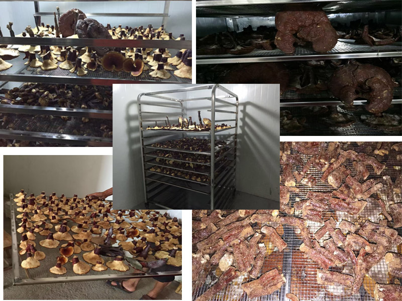 空氣能烘干機替代傳統烘干 長遠來看來為企業節省了很多資源 空氣能烘干機替代傳統烘干 長遠來看來為企業節省了很多資源