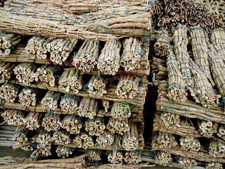 黃芪烘干與傳統曬干的對比,哪種好? 黃芪烘干與傳統曬干的對比,哪種好?