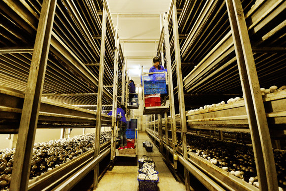 1538723485955305.png 1538723283(1).png