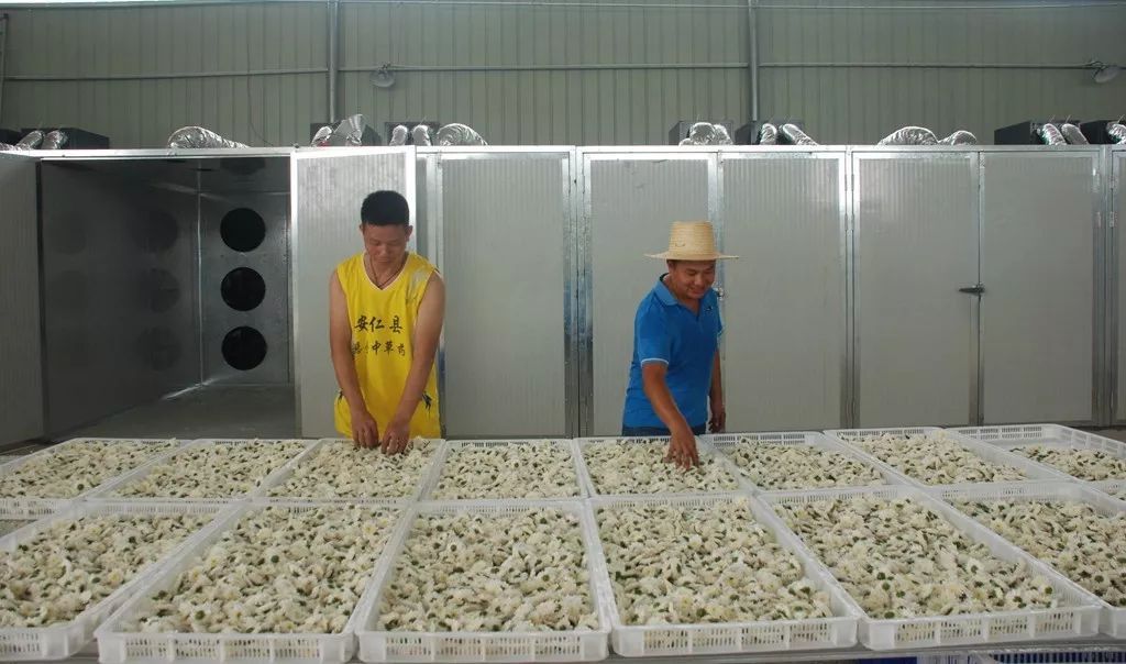 我國中藥材種植面積獲增長,烘干技術要求高 我國中藥材種植面積獲增長,烘干技術要求高