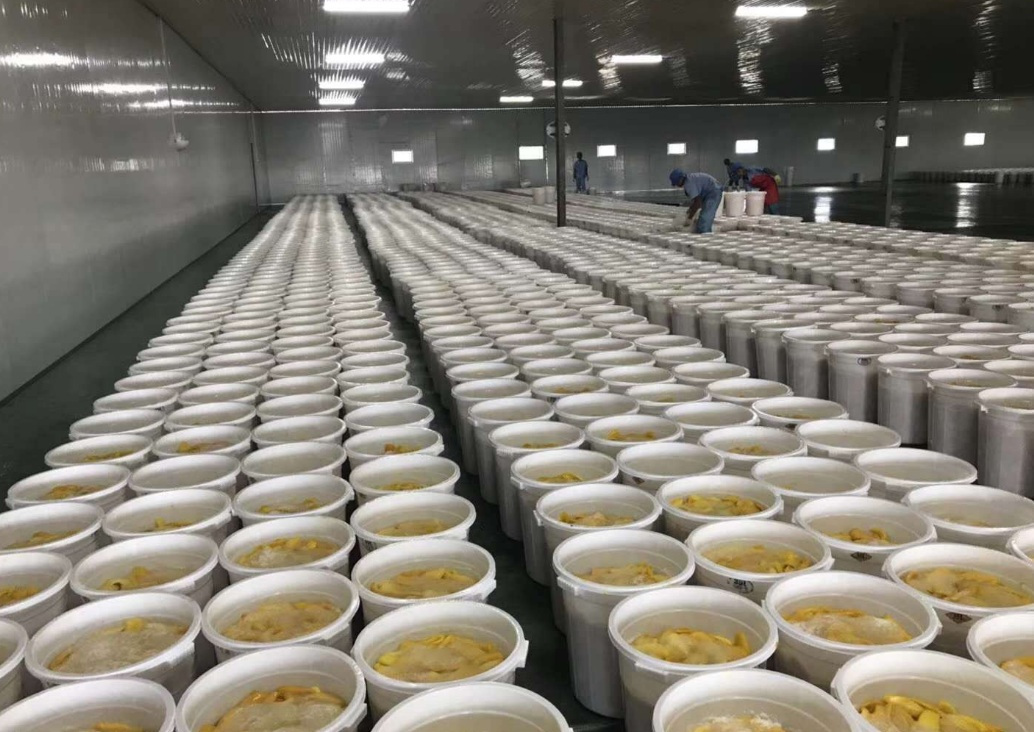 1559010062330915.jpg 微信圖片_20190528100450.jpg