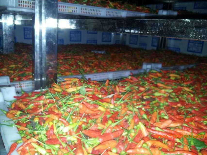 辣椒烘干機 辣椒烘干機