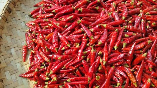 干辣椒 干辣椒