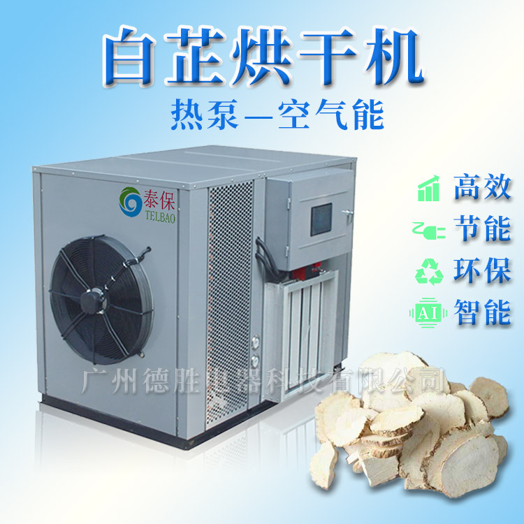 1593825767756175.jpg 白芷 (5).jpg