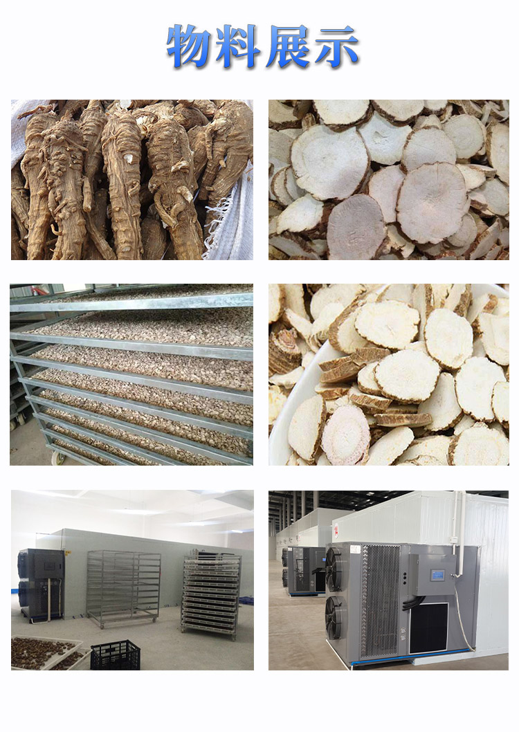 1593825772791345.jpg 白芷 (6).jpg