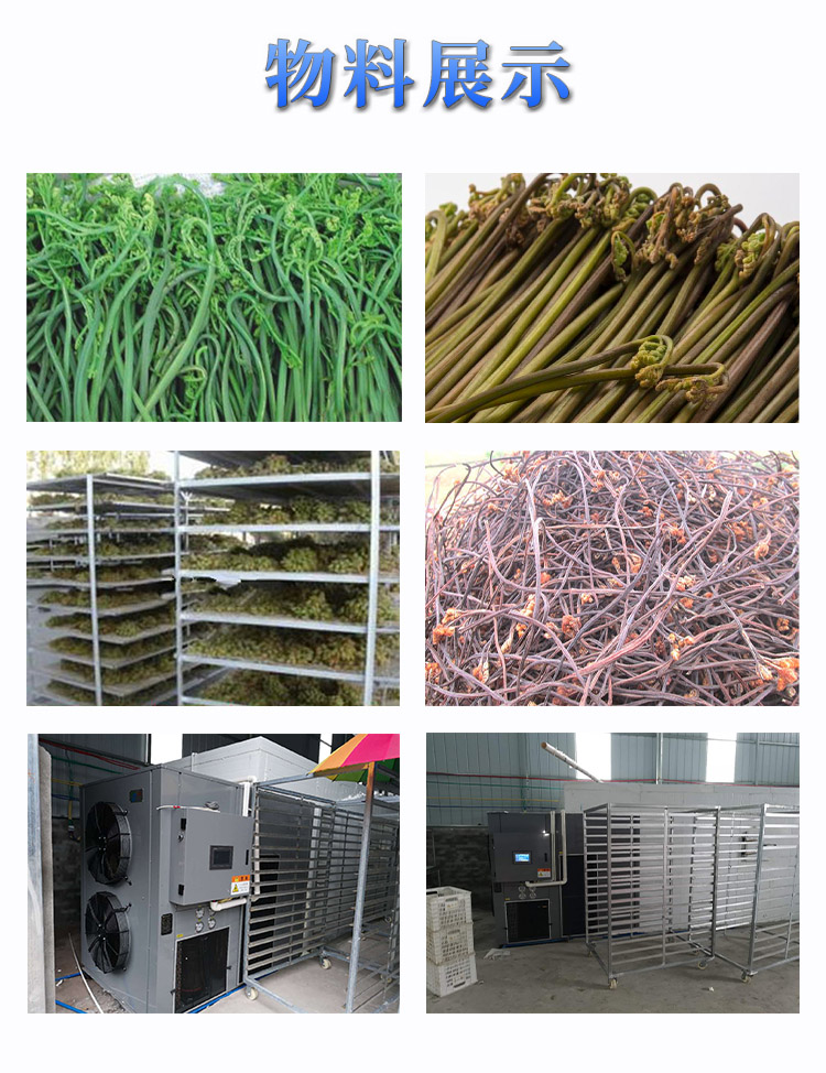 1594956874577111.jpg 蕨菜烘干效果