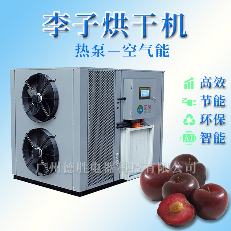 1596092072266690.jpg 李子烘干機,李果烘干機