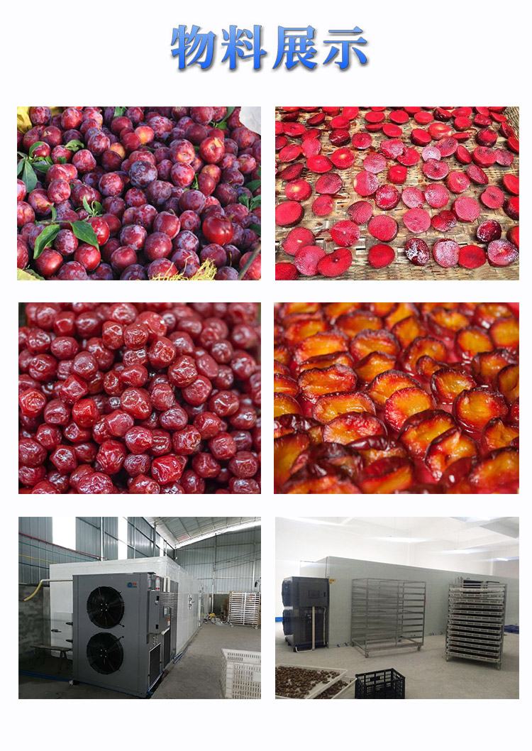 1596092077221840.jpg 李子李果烘干效果