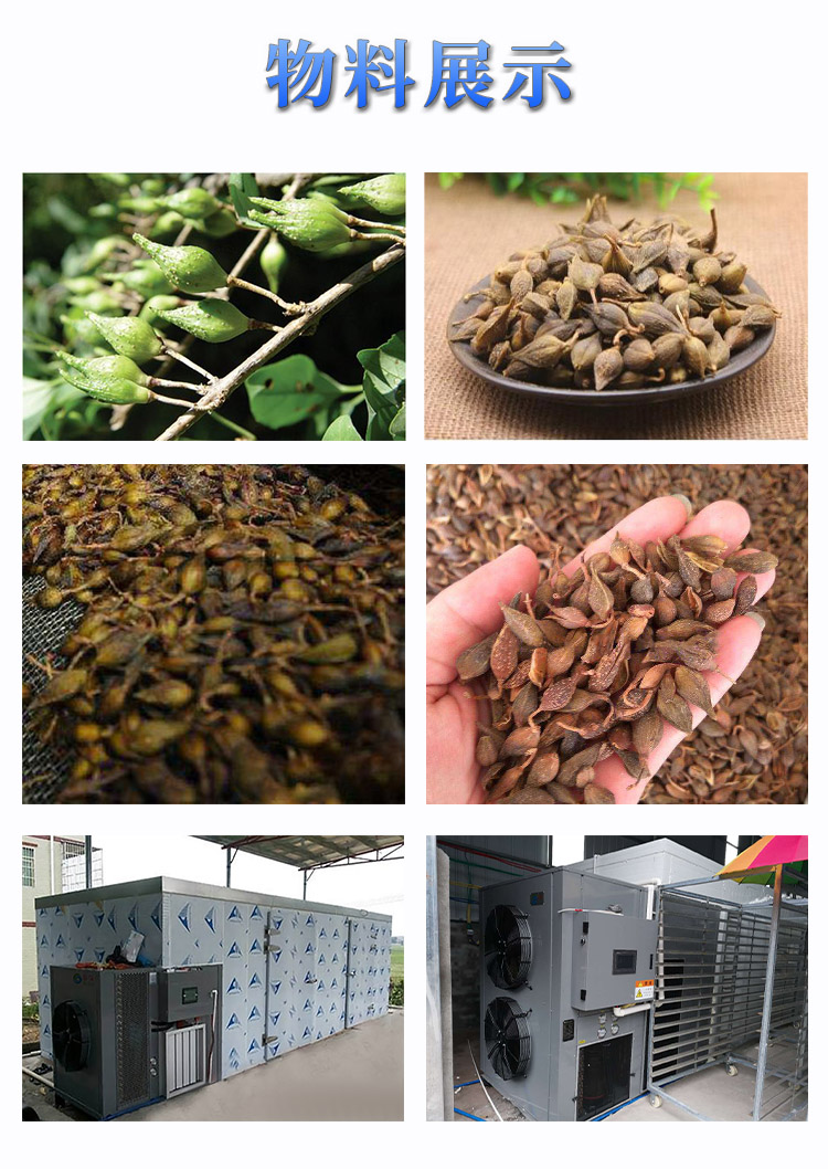 1596155980914857.jpg 連翹烘干效果