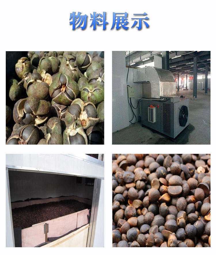 油茶籽烘干效果 油茶籽烘干物料效果