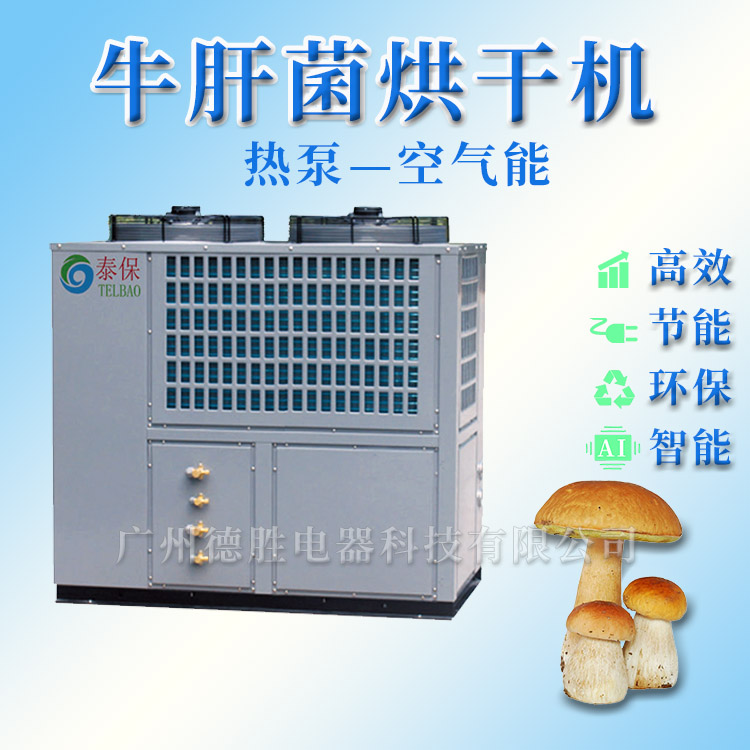 1596175462515838.jpg 牛肝菌烘干機