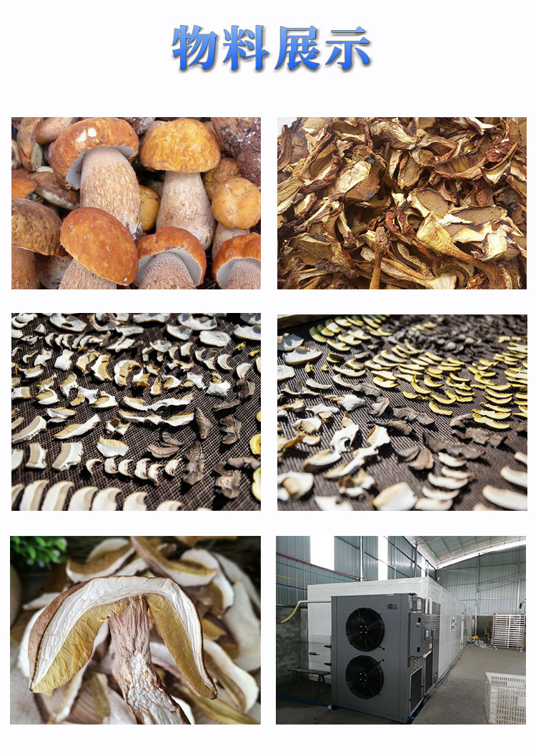 1596175471376371.jpg 牛肝菌烘干效果