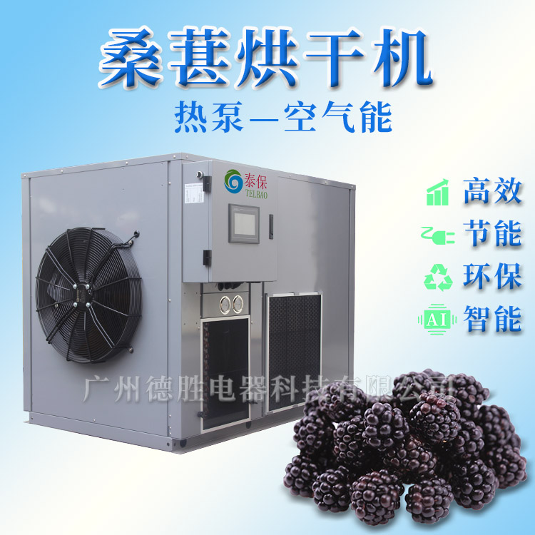 1596183675159220.jpg 桑葚烘干機
