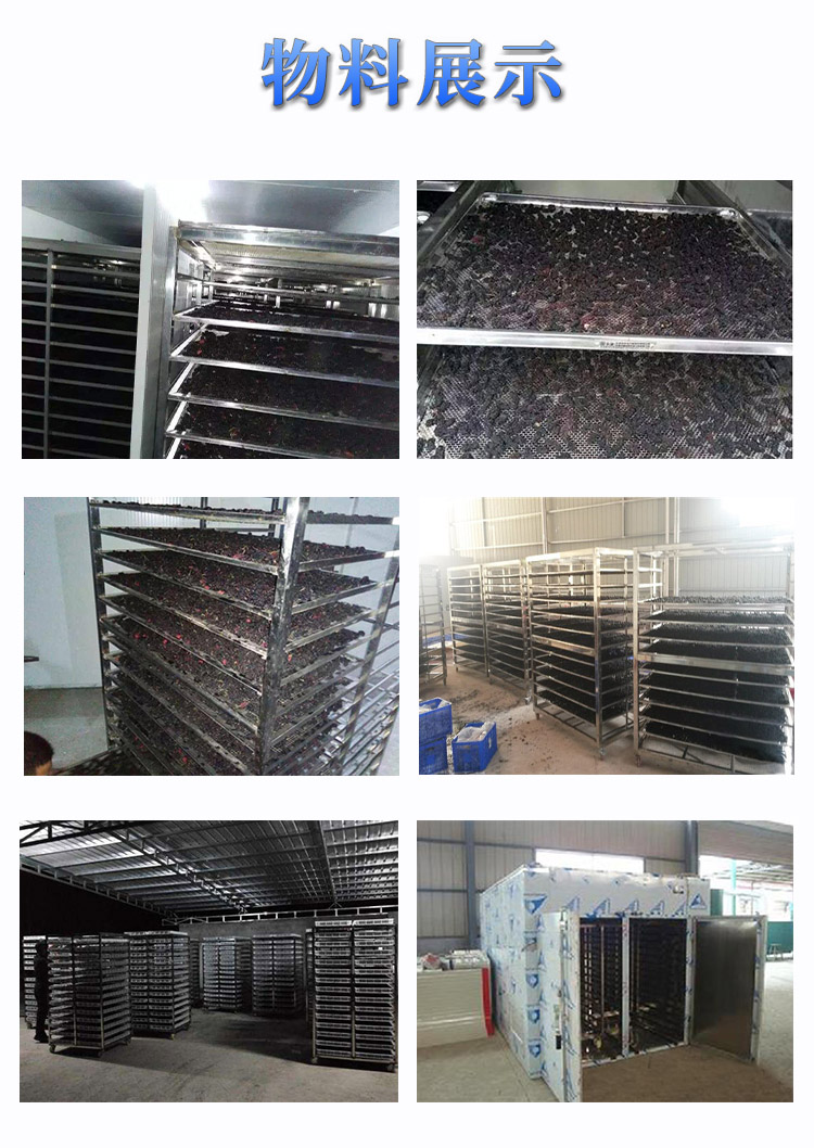 1596183682341183.jpg 桑葚烘干效果